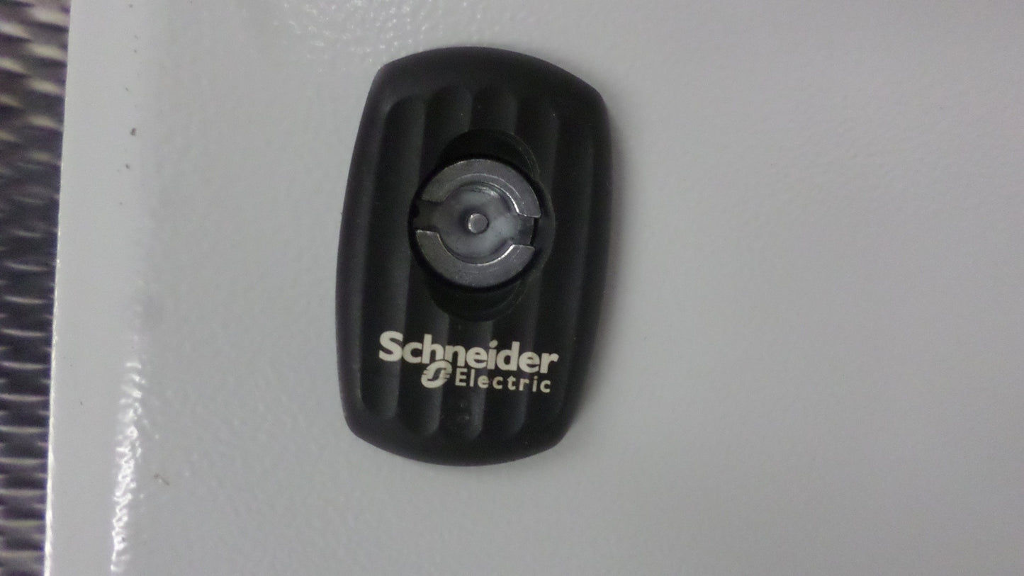 Schneider Electric NSYDS3D68 full door, door (W x H) 800mm x 600mm V01597
