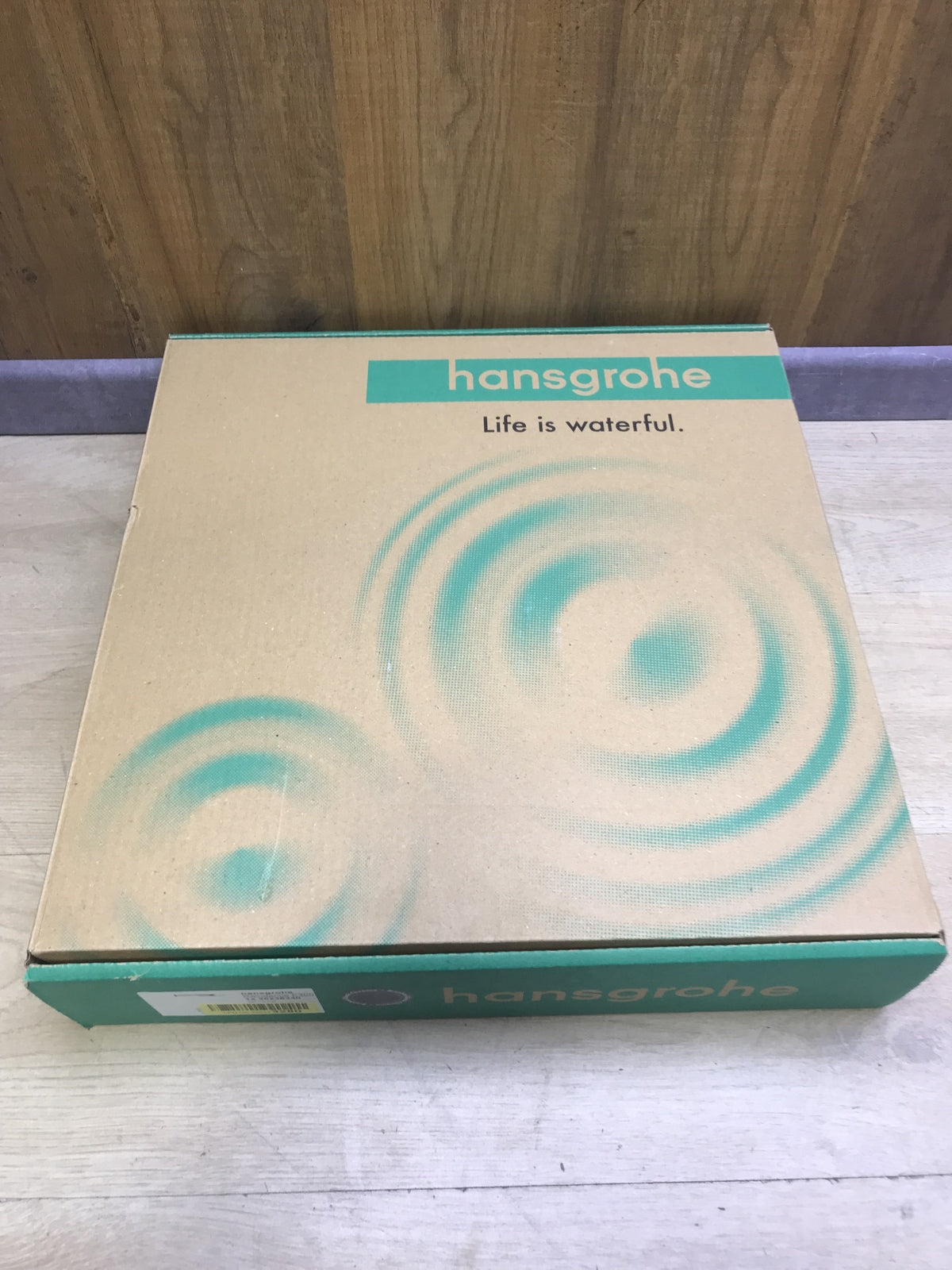 Hansgrohe 26238340 Raindance E 300 Shower Head, 30 x 30 cm, I31853