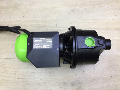 Ribimex PRJET61 Gartenpumpe Jet61, 600 W, Grün/Schwarz, I34050