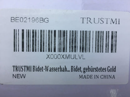 TRUSTMI BE02196BG Bidet-Wasserhahn aus Messing, verdeckt, I32938