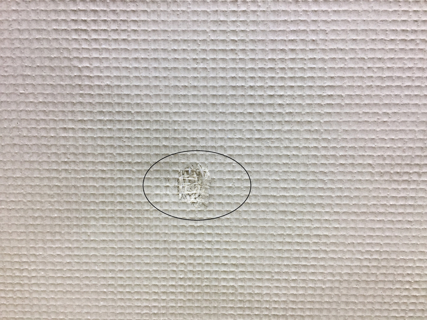 Aurlane Duschelement 80 x140 x 4 cm direkt befliesbar I27183