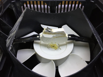 Venta LW25 Luftbefeuchter/Luftreiniger, I34086