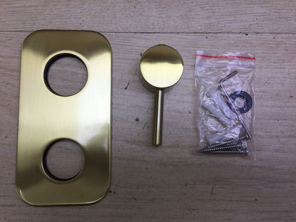 TRUSTMI BE02196BG Bidet-Wasserhahn aus Messing, verdeckt, I32938