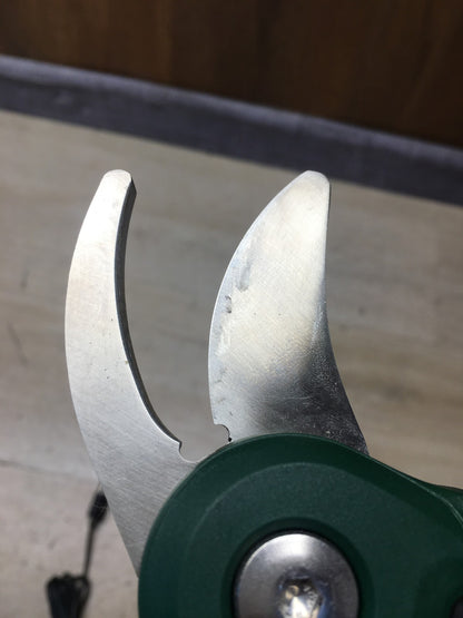 Bosch DIY EasyPrune Akku-Astschere inkl. Akku 1.5Ah, I38430