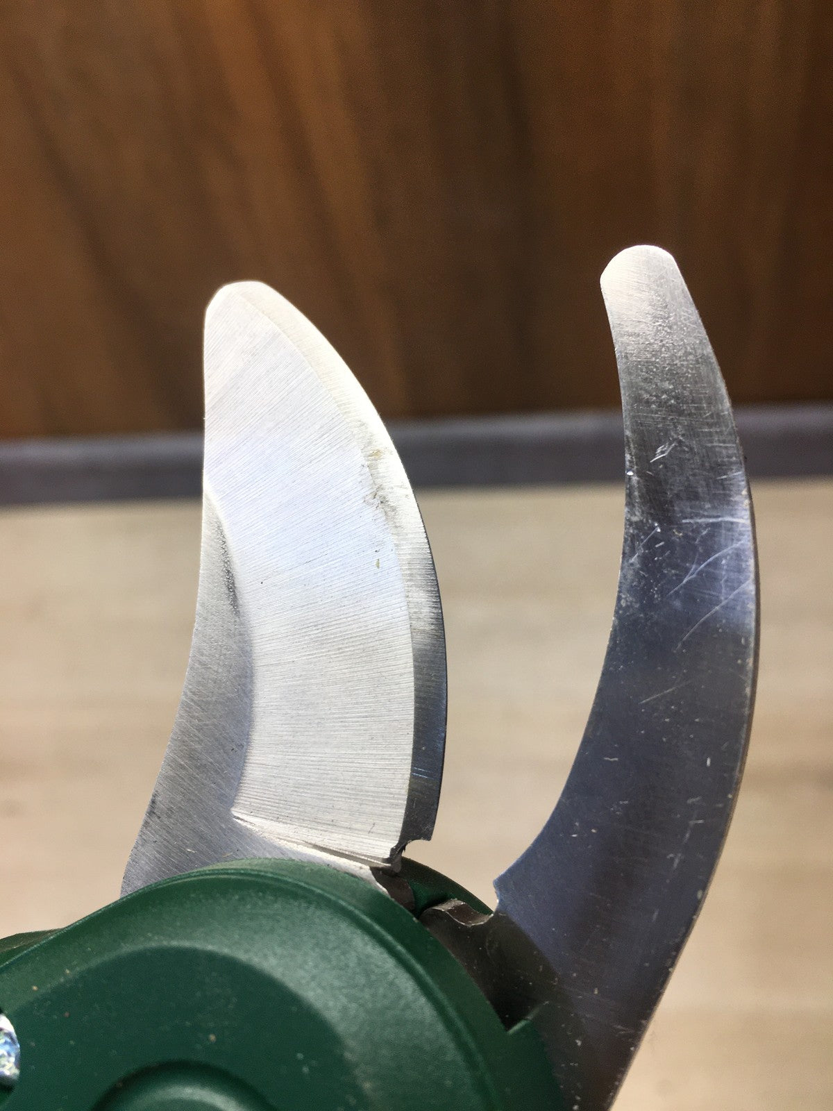 Bosch DIY EasyPrune Akku-Astschere inkl. Akku 1.5Ah, I38430