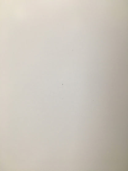 Hocosyme WK Infrarotheizgerät mit Thermostat 800 W, I40948