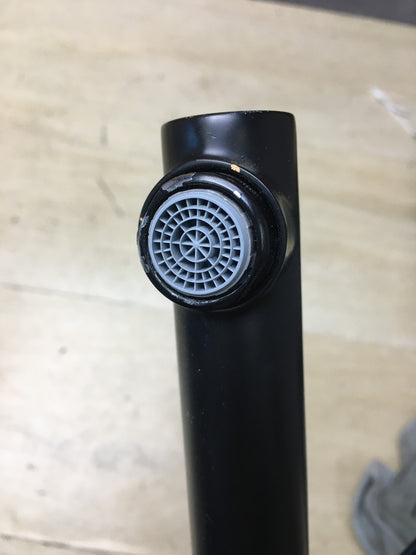 Hansgrohe 74802670 Küchenarmatur Zesis M33, Wasserhahn, I35674