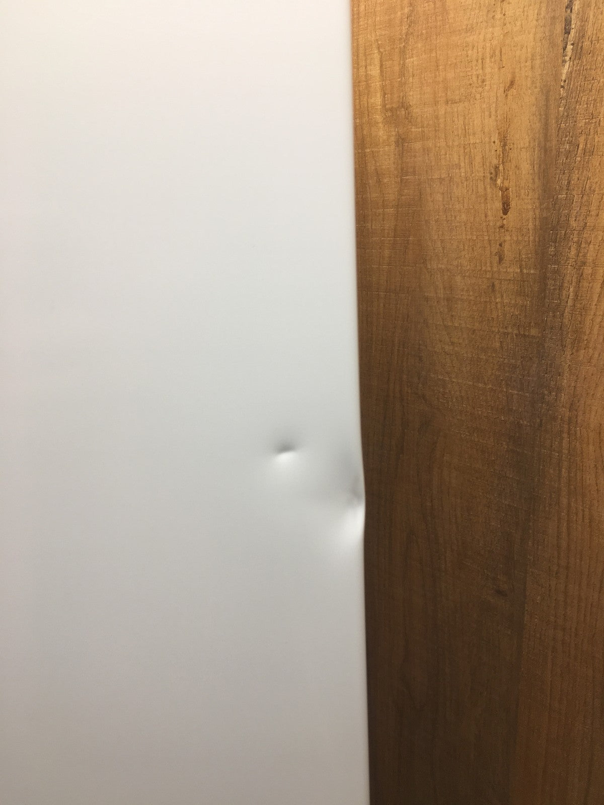 Gorenje R39EPW4 Tischkühlschrank Freistehend, 40dB, 92 L, EEK E, I39436